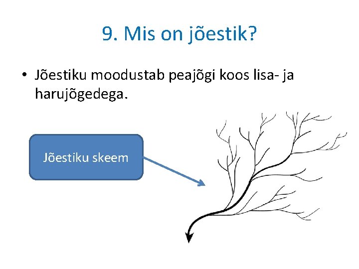 9. Mis on jõestik? • Jõestiku moodustab peajõgi koos lisa- ja harujõgedega. Jõestiku skeem 9. Mis on jõestik? • Jõestiku moodustab peajõgi koos lisa- ja harujõgedega. Jõestiku skeem