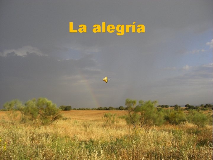 La alegría 