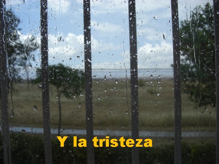 Y la tristeza 