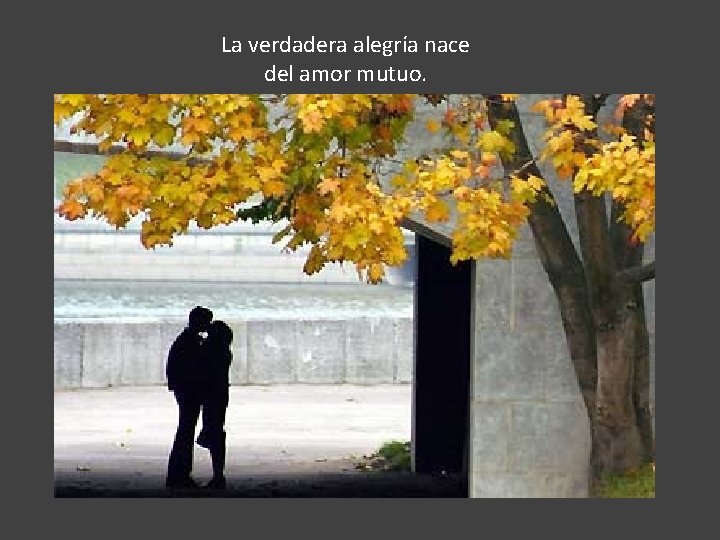 La verdadera alegría nace del amor mutuo. 