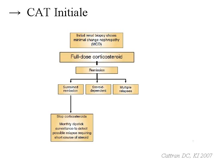 → CAT Initiale Cattran DC, KI 2007 → CAT Initiale Cattran DC, KI 2007
