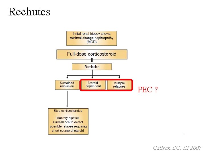 Rechutes PEC ? Cattran DC, KI 2007 Rechutes PEC ? Cattran DC, KI 2007