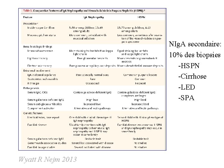 NIg. A secondaire: 10% des biopsies -HSPN -Cirrhose -LED -SPA Wyatt R Nejm 2013 NIg. A secondaire: 10% des biopsies -HSPN -Cirrhose -LED -SPA Wyatt R Nejm 2013