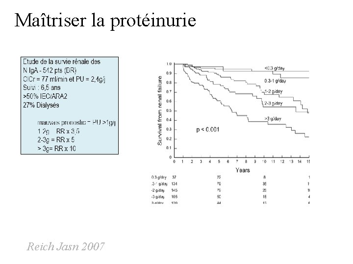 Maîtriser la protéinurie Reich Jasn 2007 Maîtriser la protéinurie Reich Jasn 2007