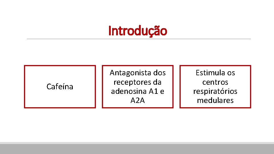 Introdução Cafeína Antagonista dos receptores da adenosina A 1 e A 2 A Estimula