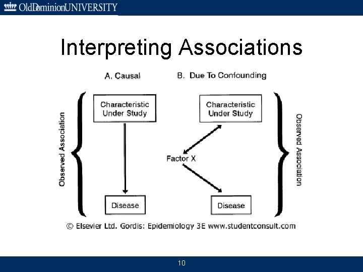Interpreting Associations 10 