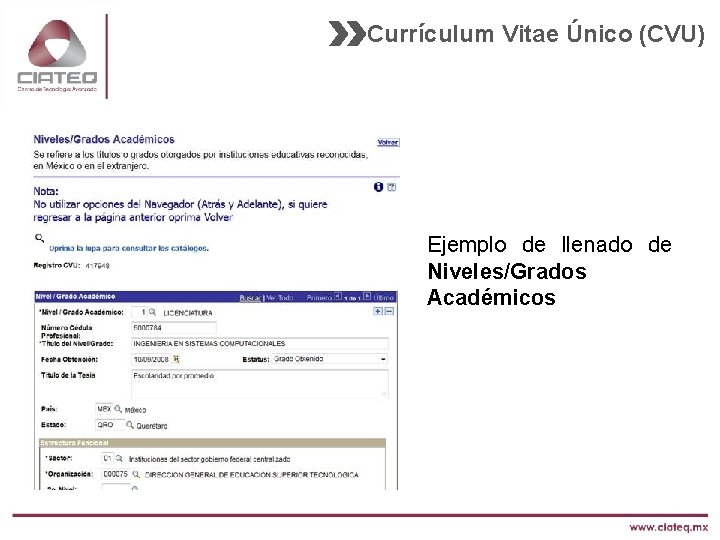 Currículum Vitae Único (CVU) Ejemplo de llenado de Niveles/Grados Académicos 