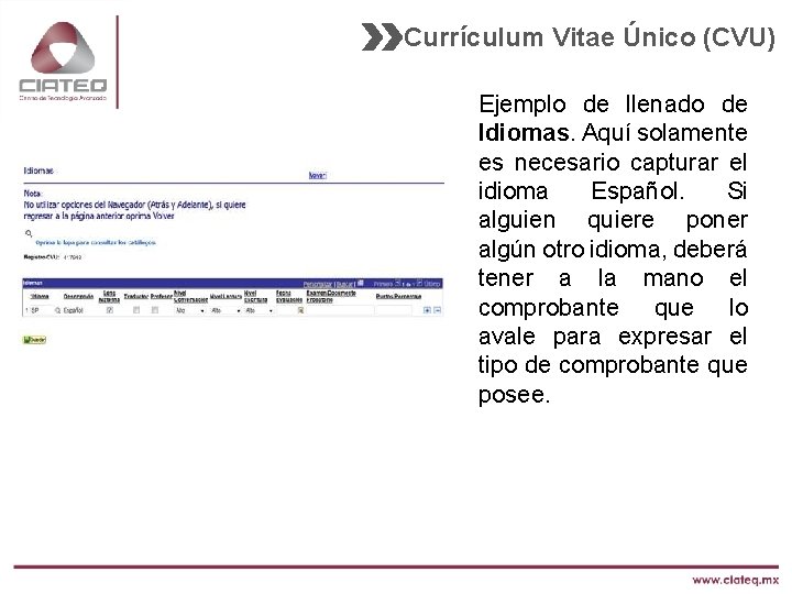 Currículum Vitae Único (CVU) Ejemplo de llenado de Idiomas. Aquí solamente es necesario capturar