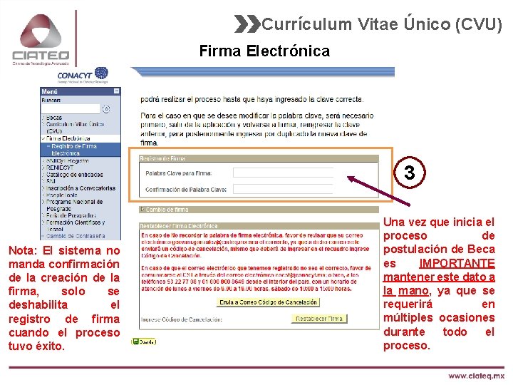 Currículum Vitae Único (CVU) Firma Electrónica 3 Nota: El sistema no manda confirmación de