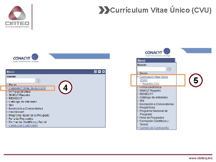 Currículum Vitae Único (CVU) 4 5 