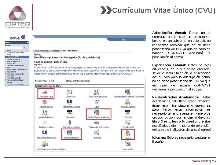 Currículum Vitae Único (CVU) Adscripción Actual: Datos de la empresa en la cual se