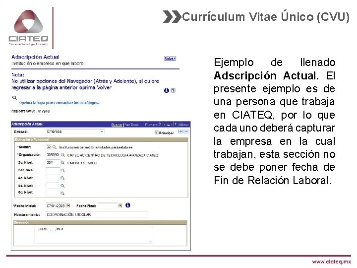 Currículum Vitae Único (CVU) Ejemplo de llenado Adscripción Actual. El presente ejemplo es de