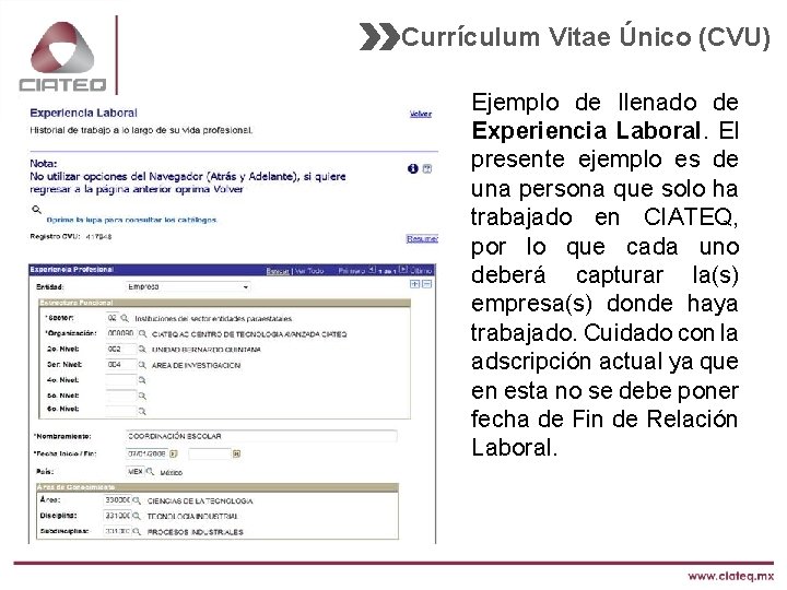 Currículum Vitae Único (CVU) Ejemplo de llenado de Experiencia Laboral. El presente ejemplo es