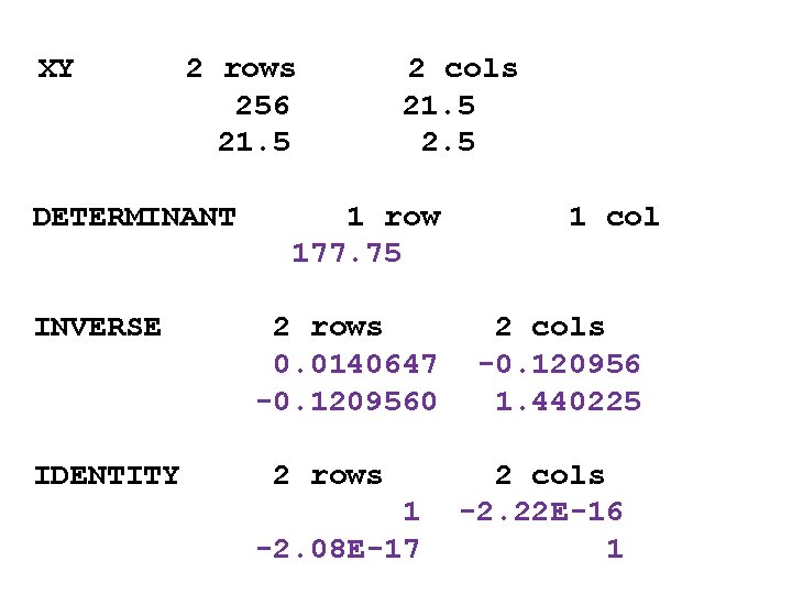 XY 2 rows 2 cols 256 21. 5 2. 5 DETERMINANT 1 row 1