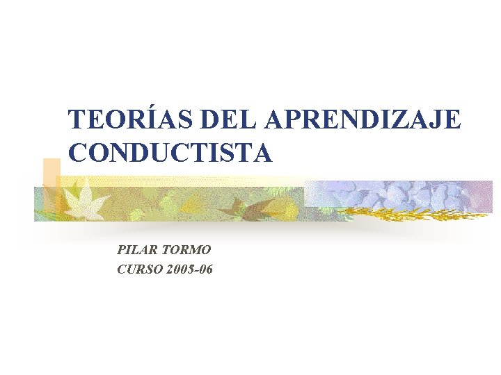TEORÍAS DEL APRENDIZAJE CONDUCTISTA PILAR TORMO CURSO 2005 -06 