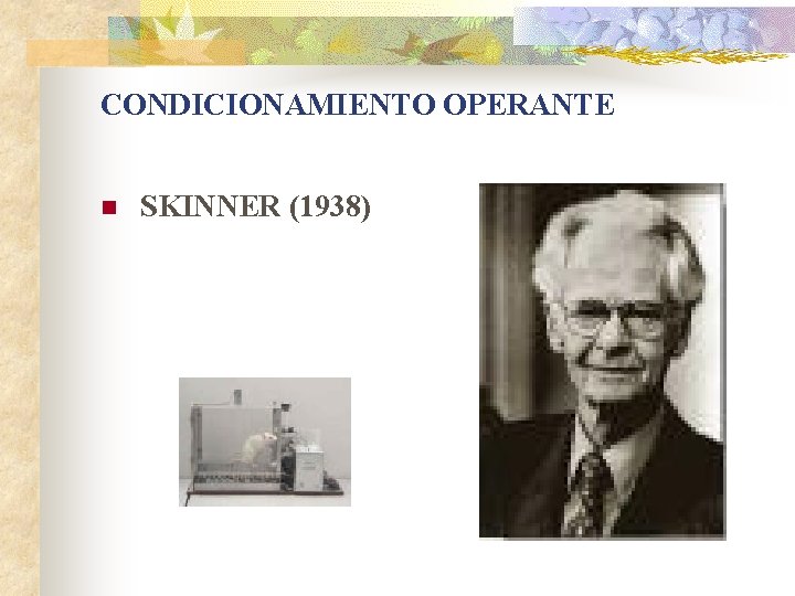 CONDICIONAMIENTO OPERANTE n SKINNER (1938) 