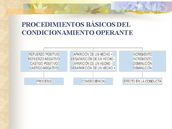 PROCEDIMIENTOS BÁSICOS DEL CONDICIONAMIENTO OPERANTE 