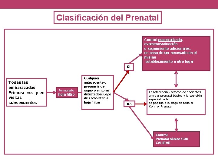 Clasificación del Prenatal Control especializado, examen/evaluación o seguimiento adicionales, en caso de ser necesario