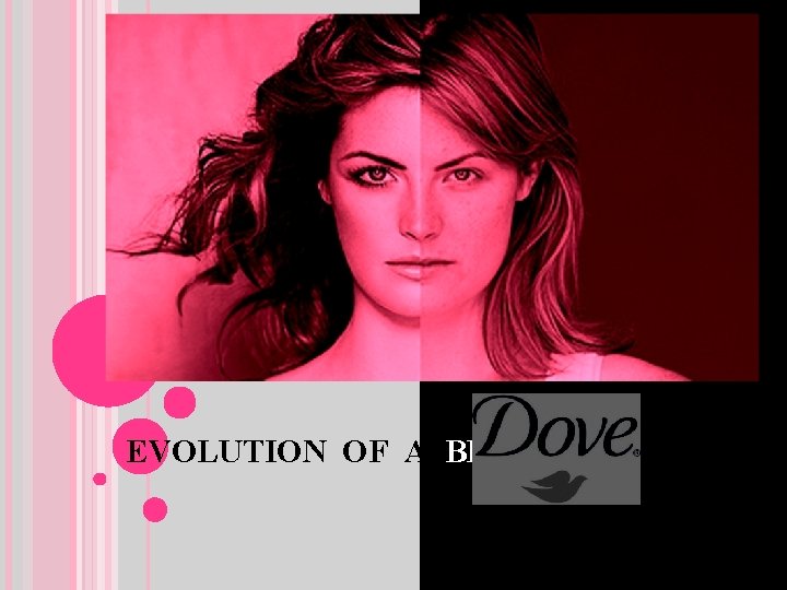 EVOLUTION OF A BRAND 