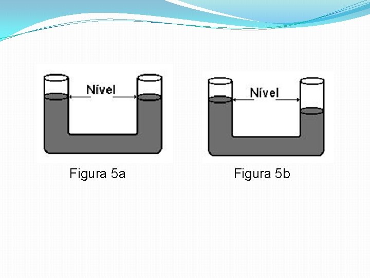  Figura 5 a Figura 5 b 