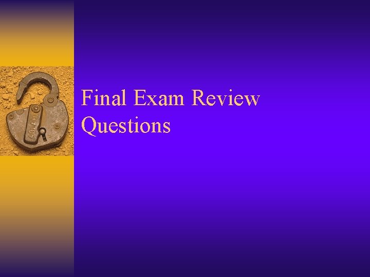 Final Exam Review Questions 