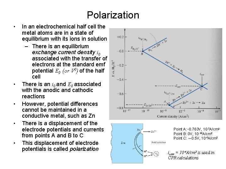 Polarization • • • In an electrochemical half cell the metal atoms are in