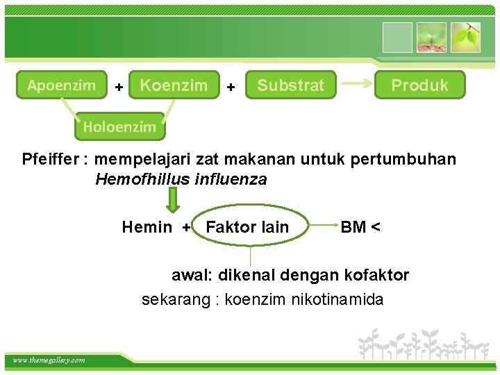 Apoenzim + + Koenzim + Substrat Produk Holoenzim Pfeiffer : mempelajari zat makanan untuk