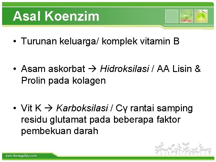 Asal Koenzim • Turunan keluarga/ komplek vitamin B • Asam askorbat Hidroksilasi / AA