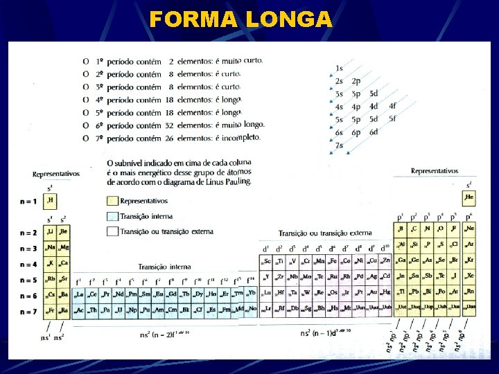 FORMA LONGA 