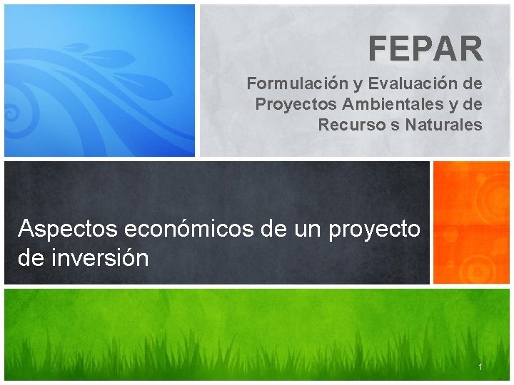 FEPAR Formulación y Evaluación de Proyectos Ambientales y de Recurso s Naturales Aspectos económicos
