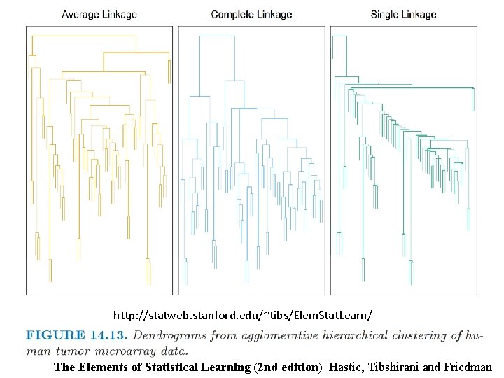 http: //statweb. stanford. edu/~tibs/Elem. Stat. Learn/ The Elements of Statistical Learning (2 nd edition)