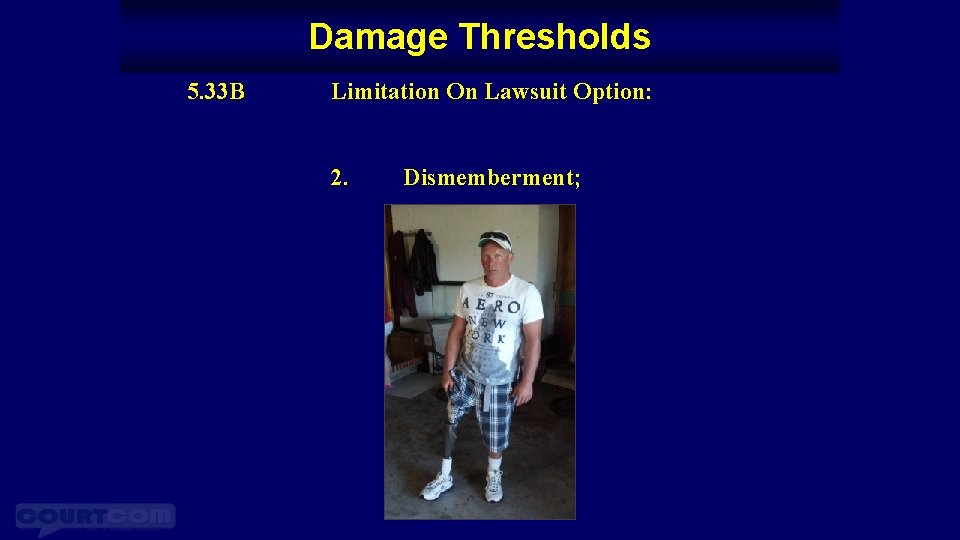 Damage Thresholds 5. 33 B Limitation On Lawsuit Option: 2. Dismemberment; 