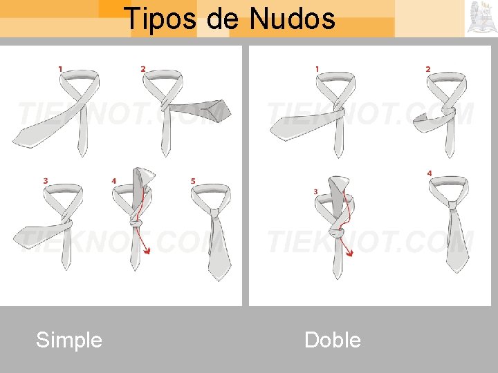 Tipos de Nudos Simple Doble 