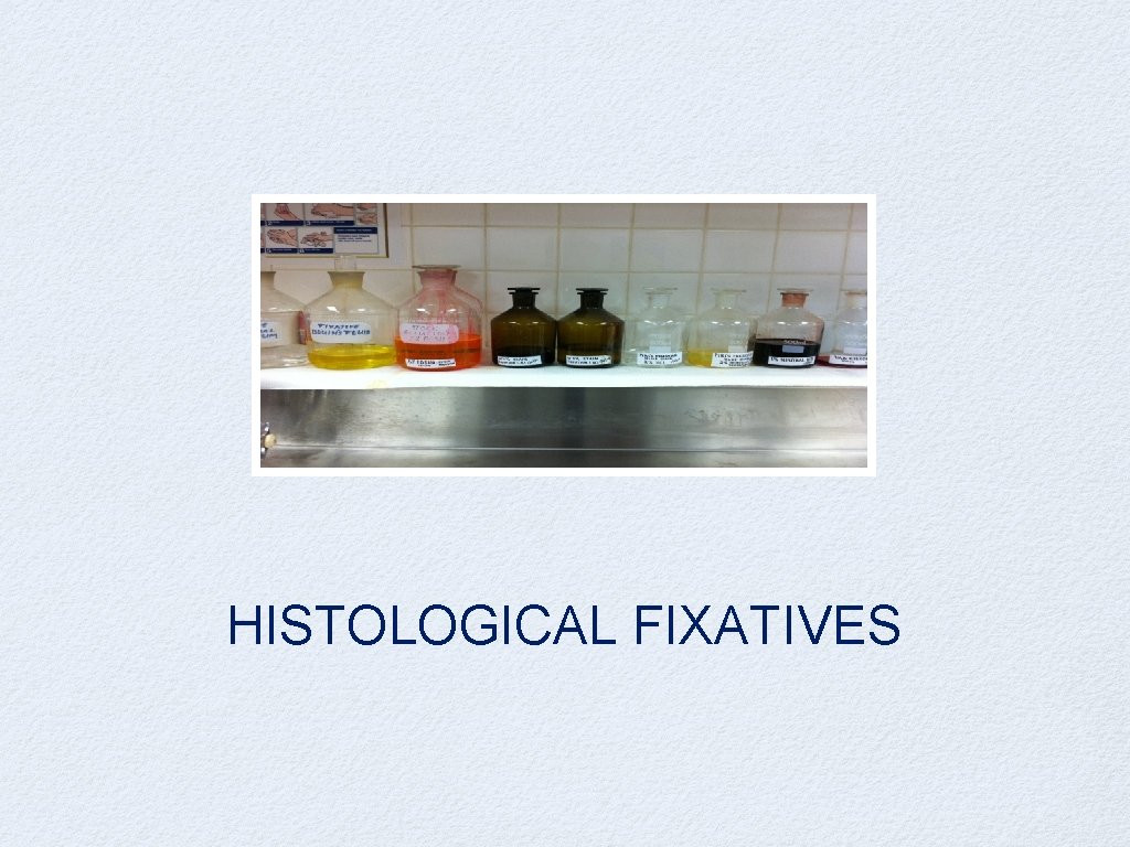 HISTOLOGICAL FIXATIVES 