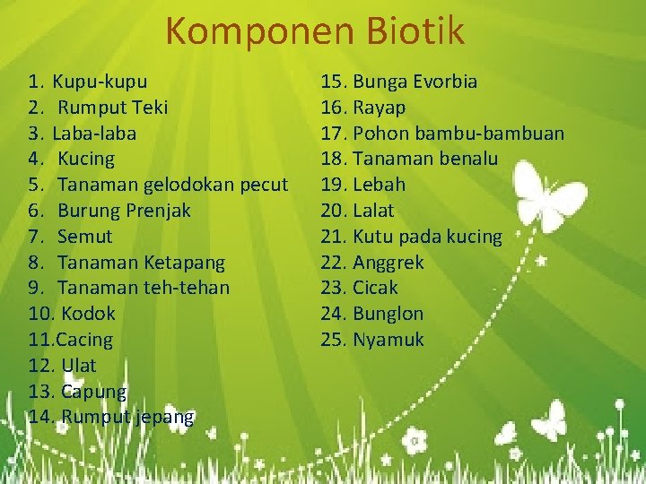 Komponen Biotik 1. Kupu-kupu 2. Rumput Teki 3. Laba-laba 4. Kucing 5. Tanaman gelodokan