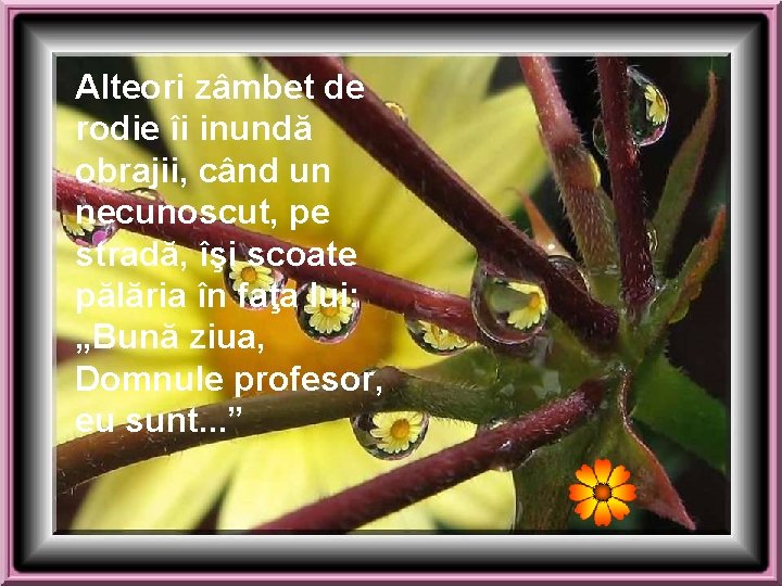 Alteori zâmbet de rodie îi inundă obrajii, când un necunoscut, pe stradă, îşi scoate Alteori zâmbet de rodie îi inundă obrajii, când un necunoscut, pe stradă, îşi scoate