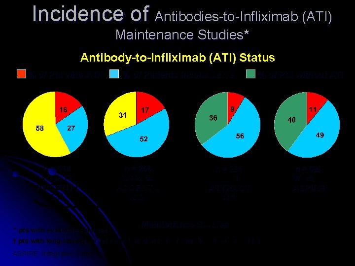 Incidence of Antibodies-to-Infliximab (ATI) Maintenance Studies* Antibody-to-Infliximab (ATI) Status % of Pts with ATI