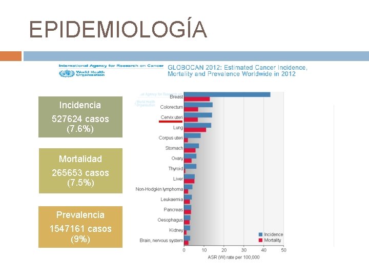 EPIDEMIOLOGÍA Incidencia 527624 casos (7. 6%) Mortalidad 265653 casos (7. 5%) Prevalencia 1547161 casos