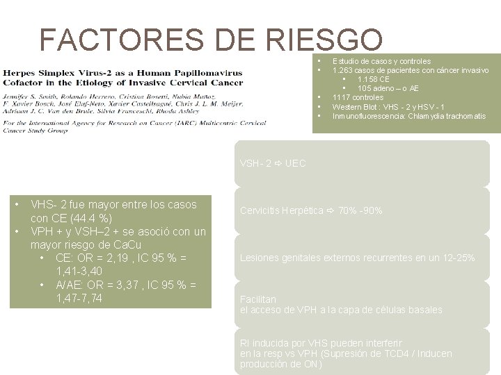 FACTORES DE RIESGO • • • Estudio de casos y controles 1. 263 casos