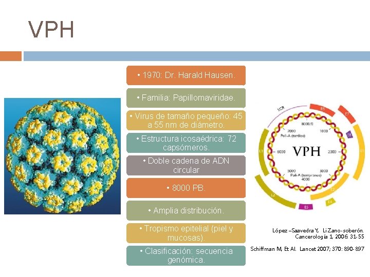 VPH • 1970: Dr. Harald Hausen. • Familia: Papillomaviridae. • Virus de tamaño pequeño: