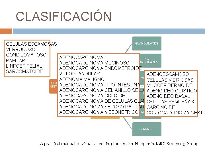 CLASIFICACIÓN GLANDULARES CÉLULAS ESCAMOSAS VERRUCOSO CONDILOMATOSO ADENOCARCINOMA NO EPITELIALES PAPILAR GLANDULARES ADENOCARCINOMA MUCINOSO LINFOEPITELIAL