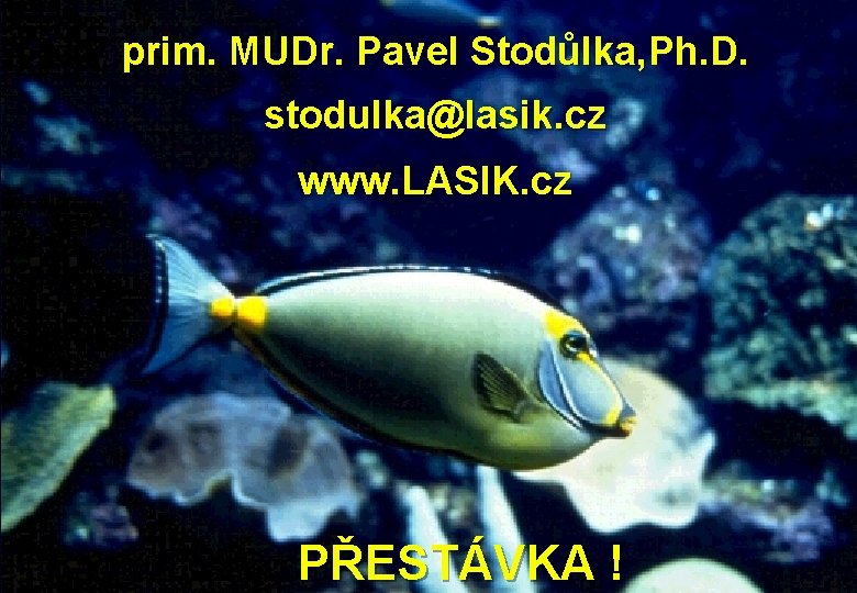 prim. MUDr. Pavel Stodůlka, Ph. D. stodulka@lasik. cz www. LASIK. cz PŘESTÁVKA ! 