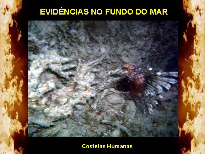 EVIDÊNCIAS NO FUNDO DO MAR Costelas Humanas 