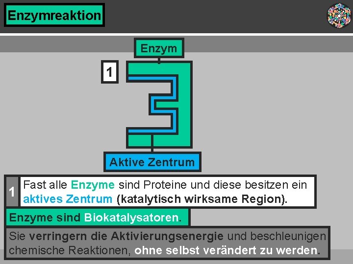 Enzymreaktion Enzym 1 Aktive Zentrum Fast alle Enzyme sind Proteine und diese besitzen ein Enzymreaktion Enzym 1 Aktive Zentrum Fast alle Enzyme sind Proteine und diese besitzen ein