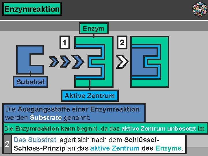 Enzymreaktion Enzym 1 2 Substrat Aktive Zentrum Die Ausgangsstoffe einer Enzymreaktion werden Substrate genannt. Enzymreaktion Enzym 1 2 Substrat Aktive Zentrum Die Ausgangsstoffe einer Enzymreaktion werden Substrate genannt.