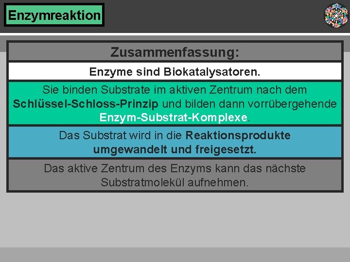 Enzymreaktion Zusammenfassung: Enzyme sind Biokatalysatoren. Sie binden Substrate im aktiven Zentrum nach dem Schlüssel-Schloss-Prinzip Enzymreaktion Zusammenfassung: Enzyme sind Biokatalysatoren. Sie binden Substrate im aktiven Zentrum nach dem Schlüssel-Schloss-Prinzip