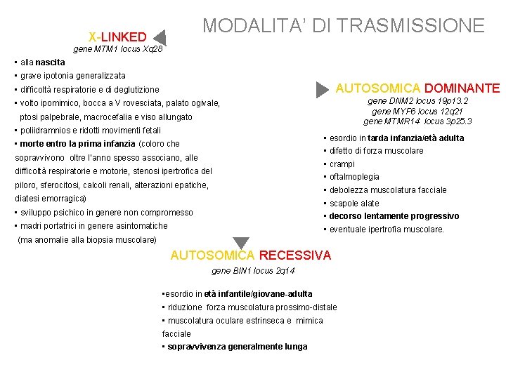 MODALITA’ DI TRASMISSIONE X-LINKED gene MTM 1 locus Xq 28 • alla nascita •