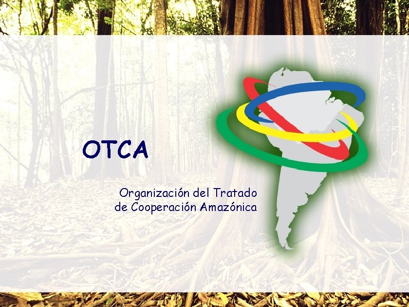 OTCA Organización del Tratado de Cooperación Amazónica 