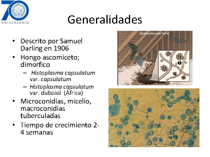 Generalidades • Descrito por Samuel Darling en 1906 • Hongo ascomiceto; dimorfico – Histoplasma