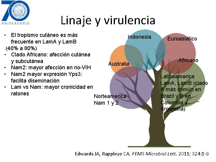 Linaje y virulencia • El tropismo cutáneo es más frecuente en Lam. A y